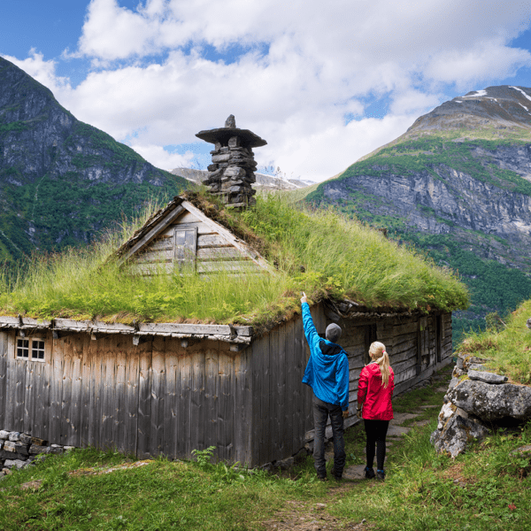 norvegia-farm