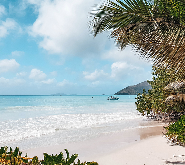 Caraibi - Isole Grenadine - Bequia