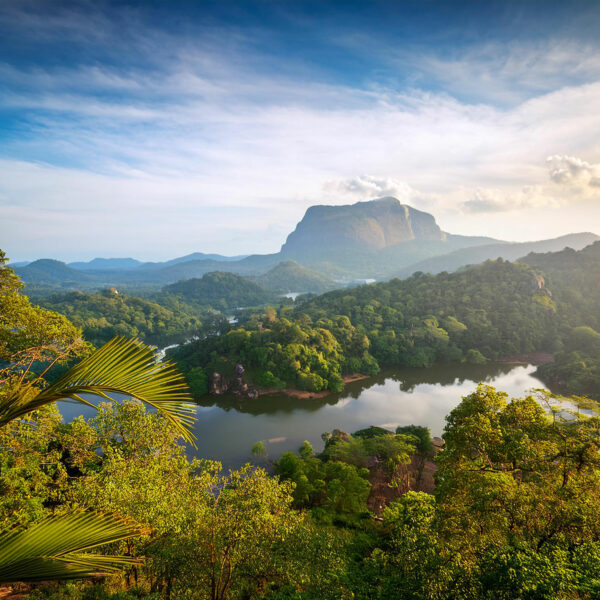 capodanno-sri-lanka