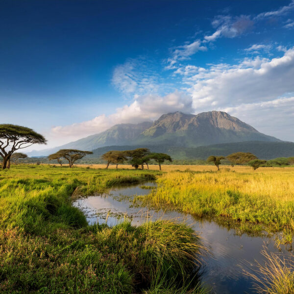 capodanno-tanzania-1